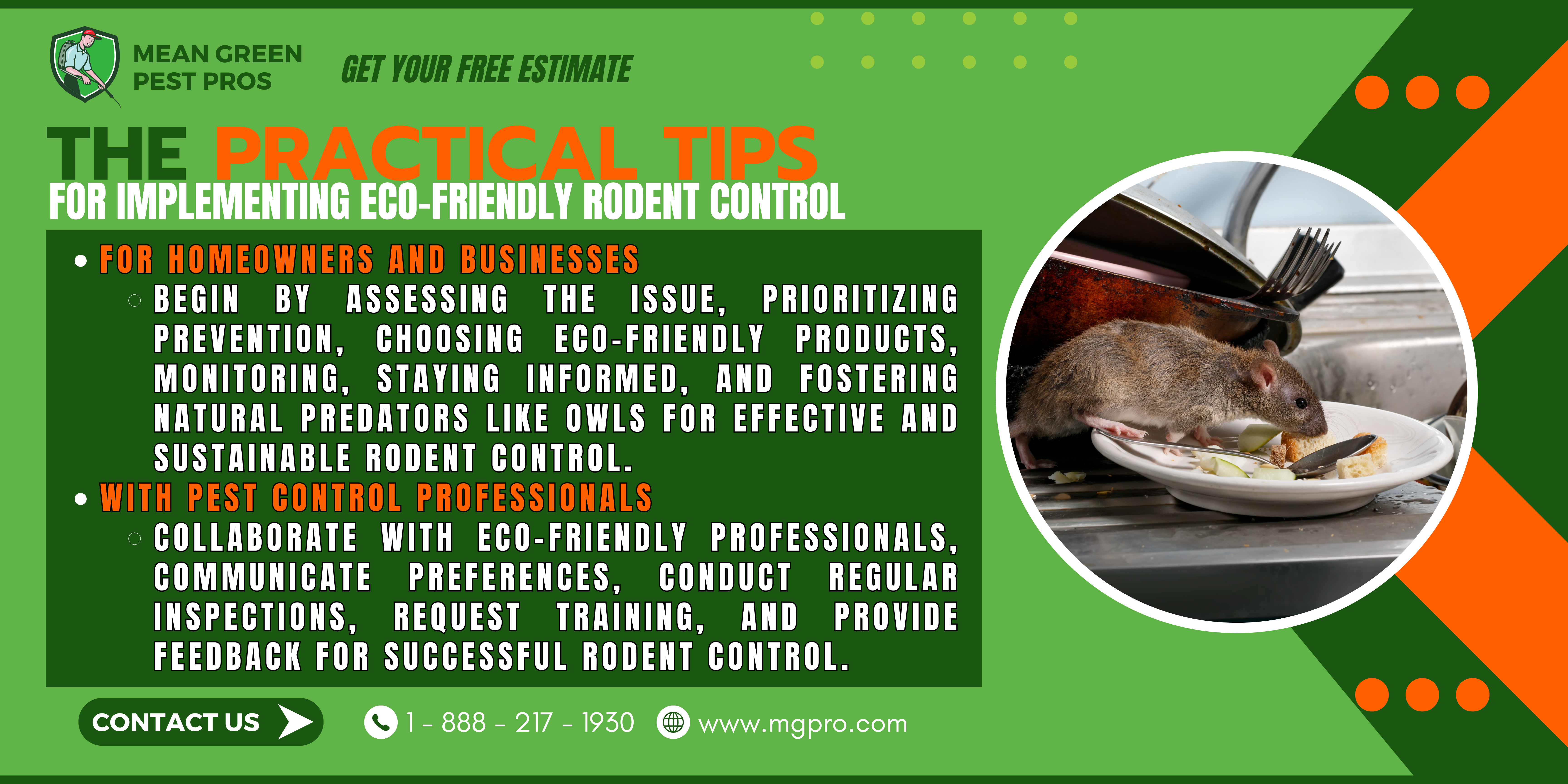 Eco-friendly rodent control alternatives